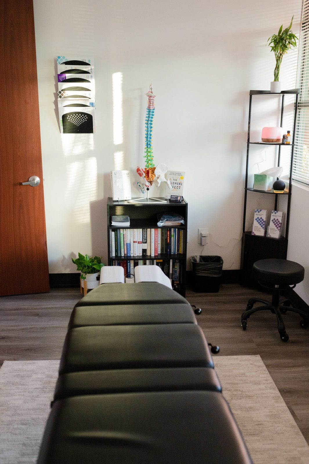 Adjustment room with the spine model, reference library and treatment table